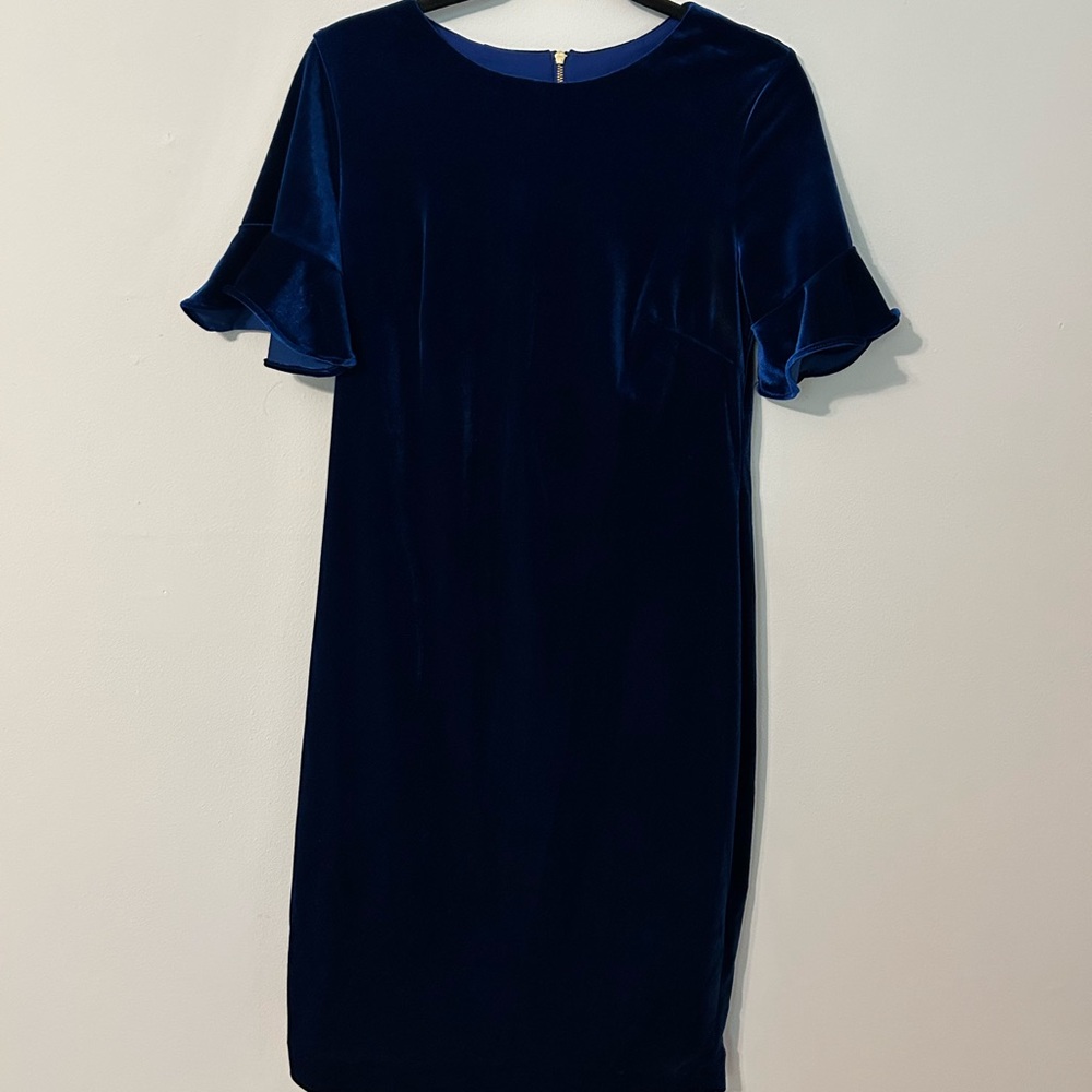 Calvin Klein Velvet Dress